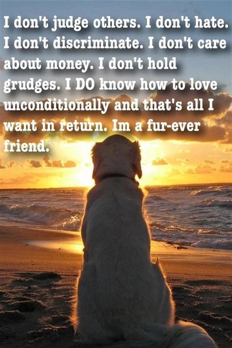 Dogs are the only soul who loves others more than its loves itself.this video present the best quotes that describe dog's uncinditional love. 51 best images about Dog Quotes + Wisdom on Pinterest | Pets, Mans best friend and So true