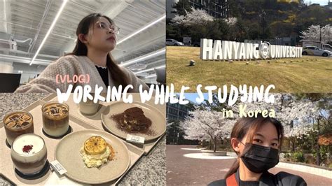 Vlog Hari Hari Terakhir Kuliah Sambil Kerja Di Korea Selatan YouTube