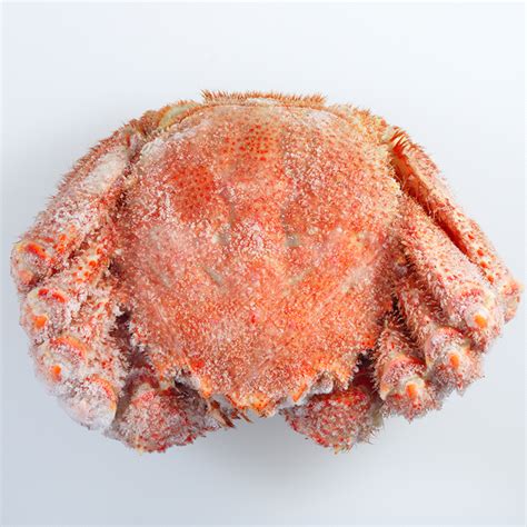 Whole Boiled Hokkaido Premium Kegani Horse Hair Crab Frozen 1kg