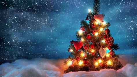 2560x1440 Resolution Tree New Year Christmas 1440p Resolution