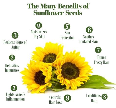 Benefits of sunflower oil | Sunflower oil benefits, Sunflower oil skin, Sunflower lecithin benefits