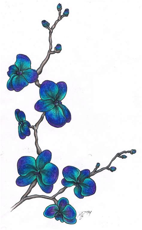 A beautiful duality contained in a single symbol, expressing the potential for gentle loveliness and crazy adventure. Blue Orchids by MitchBarberTattoos on DeviantArt | Blue orchid tattoo, Orchid tattoo, Orchid ...