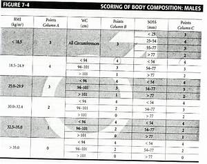 Body Composition Assessment Active Living