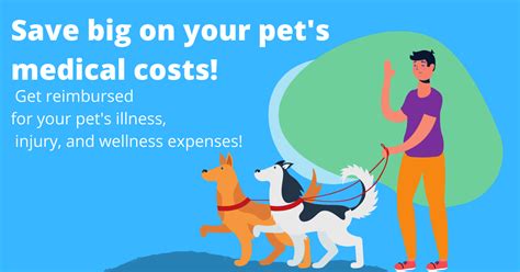 Best And Most Affordable Pet Insurance To Save You Money