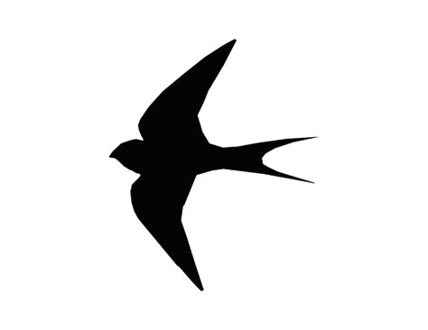 Sparrow Silhouette Tattoo Clipart Best