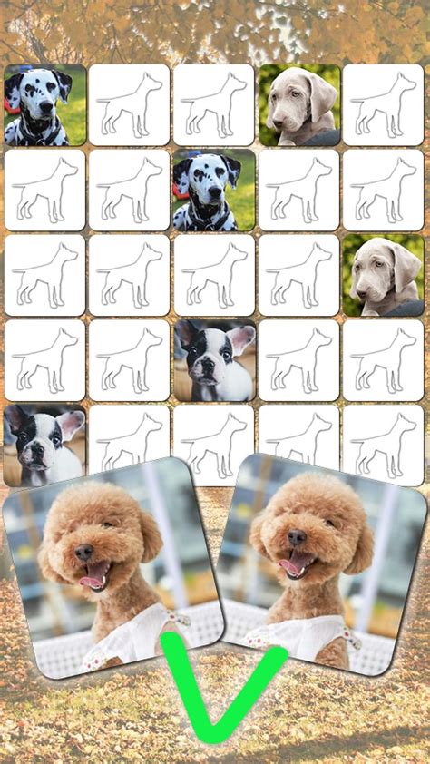 Cute Doggy Gamesdog Puzzles Matching Pairs Dog Pictures And Dogs