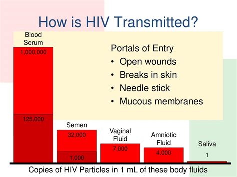 Ppt The Basics Of Hiv Aids Powerpoint Presentation Id 165522