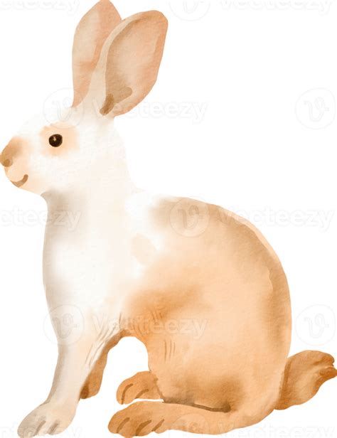 Free Watercolor Rabbit Cute Clip Art 16540954 Png With Transparent