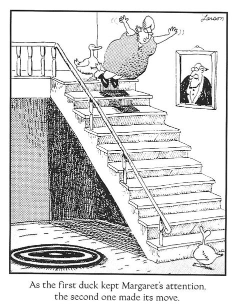 Pin By Maggie Alexander On Made Me Laugh The Far Side Far Side