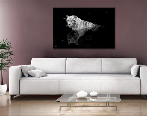 White Tiger In Water Wall Art Print Blue Horizon Prints Australia