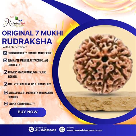 Revelations of Harmony: The Hidden Benefits of 7 Mukhi Rudraksha – Hare