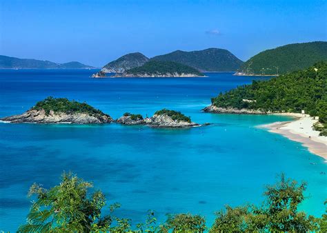 Virgin Islands | Ocean Alliance