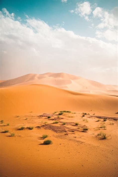 Brown Sand Field · Free Stock Photo