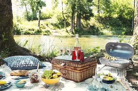 An occasion when you have an informal meal of sandwiches, etc. Sommerzeit-Picknickzeit: 9 Tipps für ein gelungenes ...