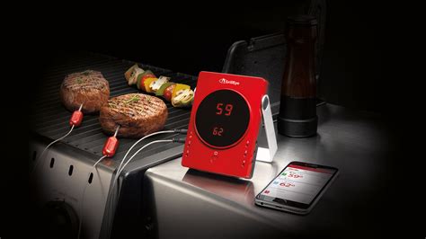 Best Meat Thermometer 2022 For Perfectly Cooked Meat Every Time T3