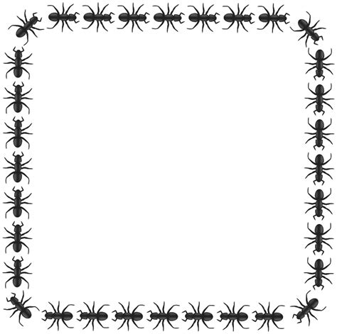 Free Ant Border Cliparts Download Free Ant Border Cliparts Png Images