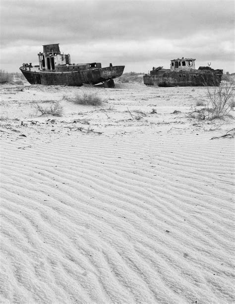 Louder Than Words A Profile Of The Destruction Of The Aral Sea And