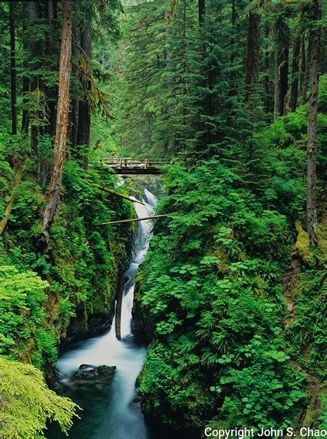 Log Bridge Spans Sol Duc Falls And River In Olympic National Park