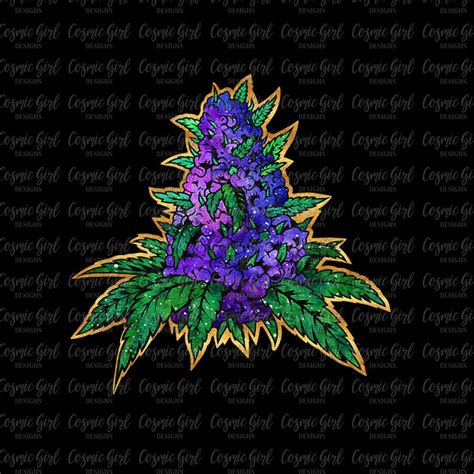 Weed Sublimation Design Template Cannabis Purple Kush Festival Etsy