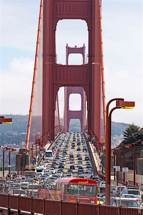 Traverser Le Golden Gate Bridge De San Francisco à Vélo Wild Birds