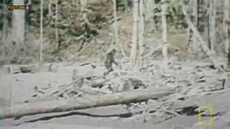 The Us States With The Most Frequent Bigfoot Sightings Fox News Video