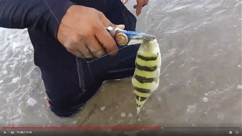 Fishing Exploring From Mayaro To Manzanilla Youtube