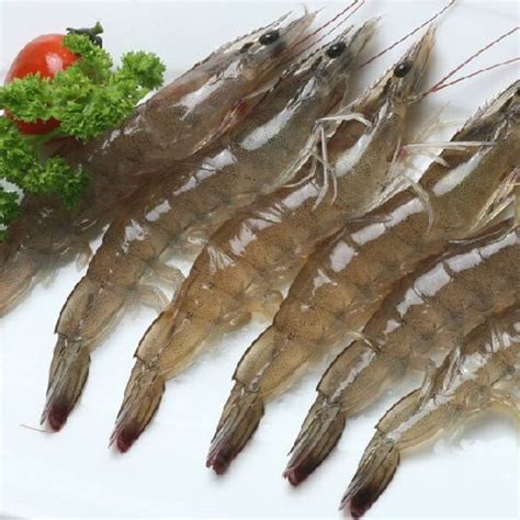 Vannamei Prawn