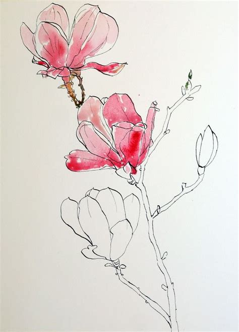 Ellsworth Kelly Pink Magnolias Pen Ink And Wash Painting Flower