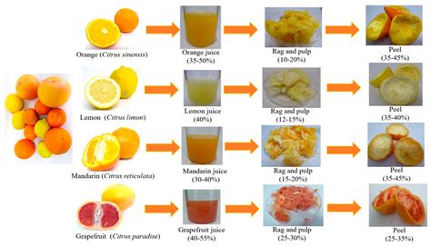 The Principal Citrus Species And Their Composition In Terms Of Juice