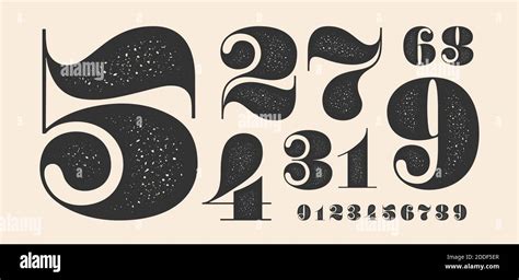 Number Font Classical French Didot Style Texture Stock Vector Image