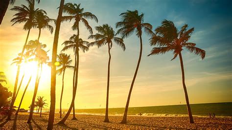 HD Wallpaper Landscape Nature Beach Resort Palm Trees Sunset Clouds Tropical Sea Sand