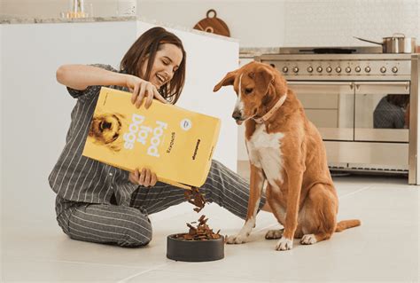 Sundays Dog Food Subscription Review Scout Knows