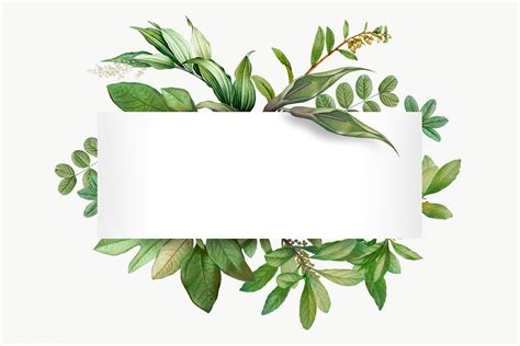 Search more high quality free transparent png images on pngkey.com and share it with your friends. Botanical themed design space | Royalty free transparent ...