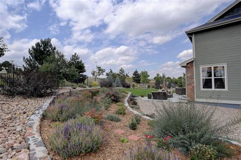 What Is Xeriscaping Tips For Beginners