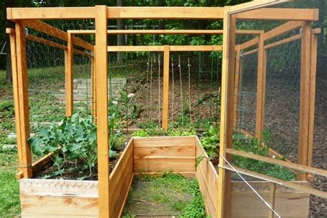 This allows you to easily reach into the raised bed from the side to plant when preparing a raised bed garden, location is everything, but it doesn't have to be your backyard. raised garden deer fence - Google Search | square foot ...