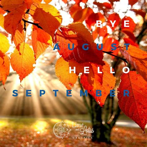 Bye August Hello September By Lime And Lotus Organics August Hello