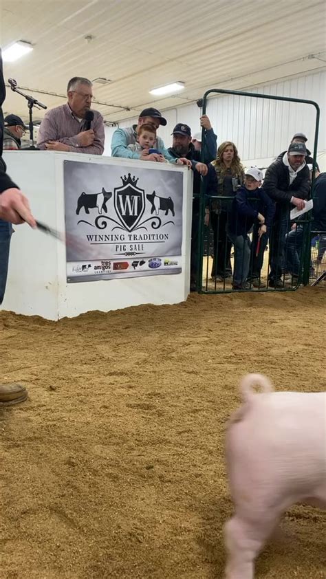 Winning Tradition Pig Sale Home