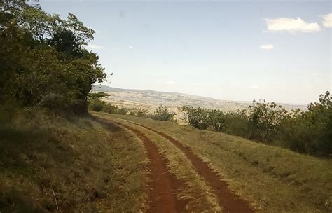 Tourisme à Kakamega 2022 Visiter Kakamega Kenya Tripadvisor