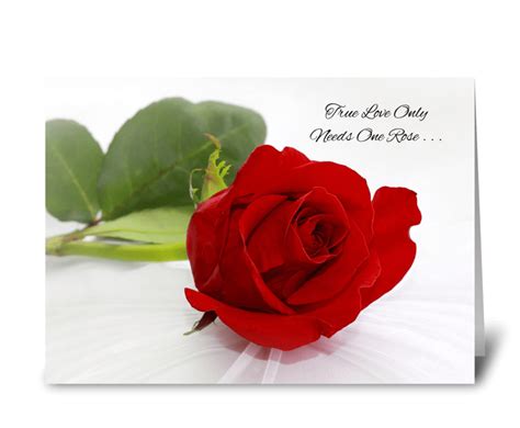 Romantic Red Rose I Love You Send This Greeting Card Designed By