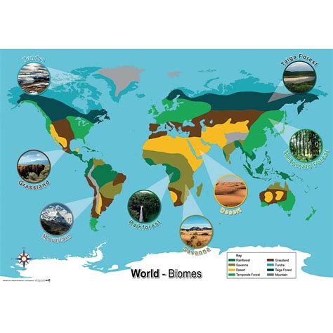 E1534834 World Biomes Map Spa4Schools