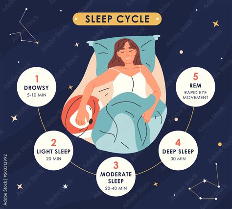 Sleep Cycles Infographic Nighttime Resting Stages Healthy Sleep Phases Young Woman Sleep And