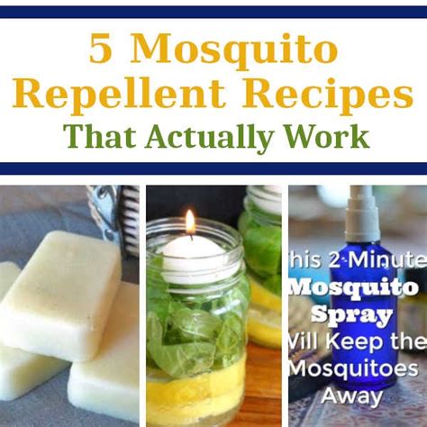 Mosquitoes are found in dark and marshy areas. 5 Mosquito Repellent Recipes That Actually Work | DIY Home Sweet Home