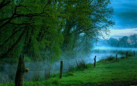 Misty River Wallpapers And Images Wallpapers Pictures