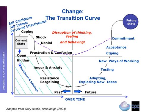The Transitional Curve Pathway To Behavioural Adaptation Download