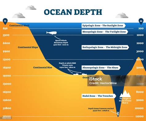 Ocean Depth Zones Infographic Vector Illustration Labeled Diagram Stock