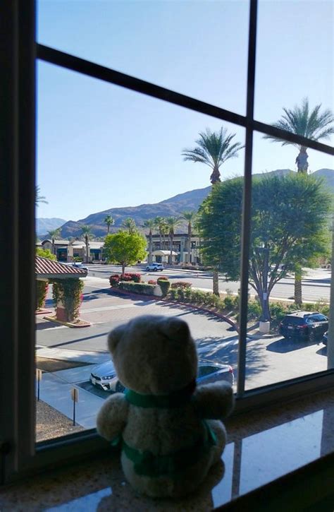 Hilton Garden Inn Palm Springsrancho Mirage Updated 2024 Prices And Hotel Reviews Ca