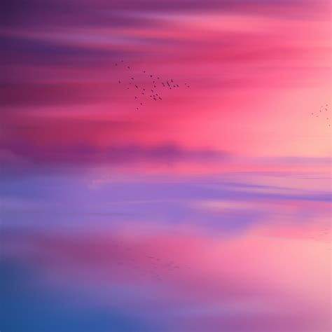Pink Sky Wallpaper 4k Horizon Scenic Flying Birds