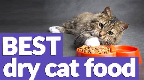 Wet cat food differs from the dry type of cat food by having more moisture. Best Dry Cat Food in 2019 | 9 TOP RATED Dry Cat Foods ...