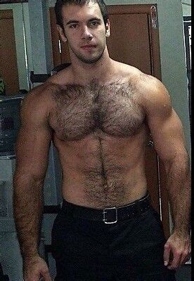 Shirtless Male Muscular Hairy Chest Abs Handsome Beefcake Hunk Photo