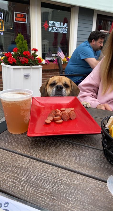 Longboards Restaurant And Bar Is Pet Friendly